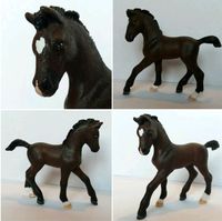 Schleich Repaint Lusitano Fohlen Köln - Rodenkirchen Vorschau