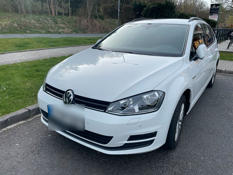 GOLF 7 VII Variant CUP 1.2 TSI DSG SHZ NAVI ALU PDC PLA TÜV NEU in Treuen