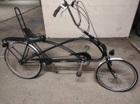 Sesselrad Fahrrad Saiga Custom Nr 10 Baden-Württemberg - Ulm Vorschau