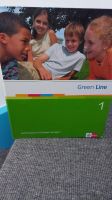 Green Line 1 ISBN 978-3-12-547123-8 Englisch Kopiervorlage Lehrer Hessen - Liederbach Vorschau