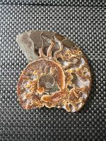 Fossil, Edelsteine Nordrhein-Westfalen - Plettenberg Vorschau