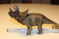 Schleich Dinosaurier Triceratops 16452 Bayern - Buckenhof Mittelfranken Vorschau