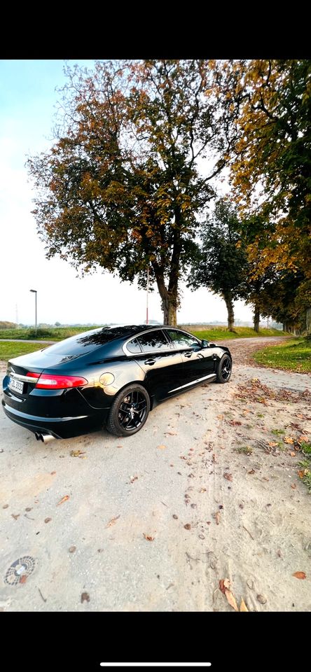                     Jaguar XF in sehr gute Zustand