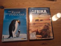 Tierfilm Die Reise der Pinguine Afrika Ein Königreich der Tiere Bayern - Laaber Vorschau