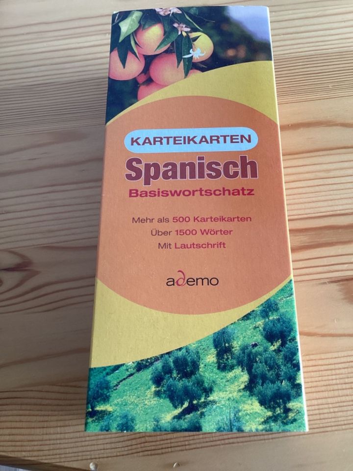 Karteikarten Spanisch in Delmenhorst