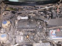 VW 1.9 TDI Motor Komplett Golf 4 A3 T3 T4 etc Niedersachsen - Wietzendorf Vorschau