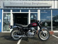 Kawasaki W 800 Classic Bike Retrobike A-2 fähig Neufahrzeug Nordrhein-Westfalen - Bergkamen Vorschau