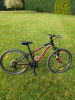 24 Zoll Kinderfahrrad Specialized HotRock, 7-Gang Niedersachsen - Bad Sachsa Vorschau