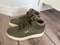 Puma Schuhe 37 Schleswig-Holstein - Bad Bramstedt Vorschau