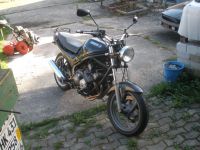 Oldtimer!!! Yamaha XJ 600 S Mit TÜV bis 6.25!!! Für Bastler Niedersachsen - Wischhafen Vorschau