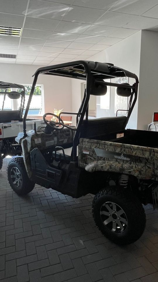 WSM RTX 800E Golfcart, Golfcar, Elektrofahrzeug mit Zulassung in Markneukirchen
