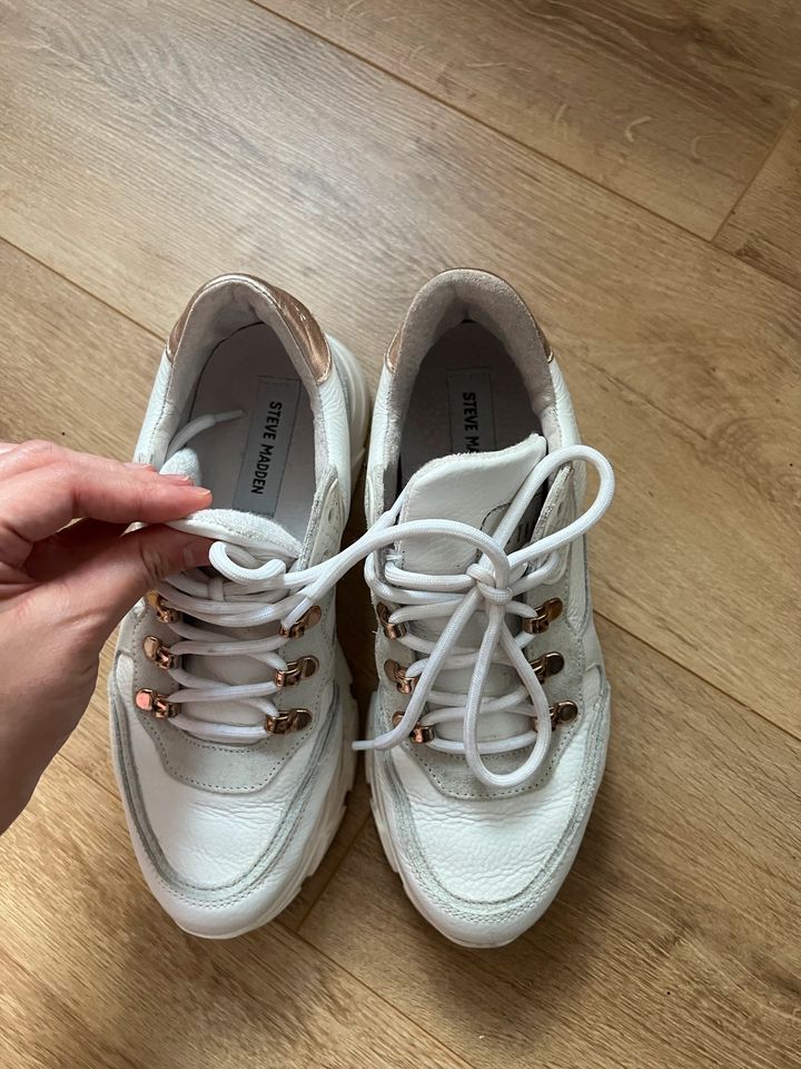 Steve Madden  Sneakers Schuhe in Rostock