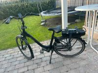 E-Bike zu verkaufen Nordrhein-Westfalen - Stadtlohn Vorschau