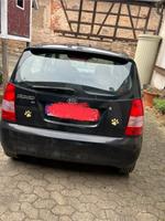 Kia picanto Bayern - Eltmann Vorschau