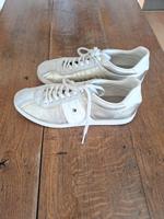 Sneaker Tommy Hilfiger Gr. 39, inkl. Versand! Hessen - Eltville Vorschau