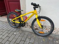 Kinder MTB Mondraker Leader 20" 6-Gang Dresden - Blasewitz Vorschau