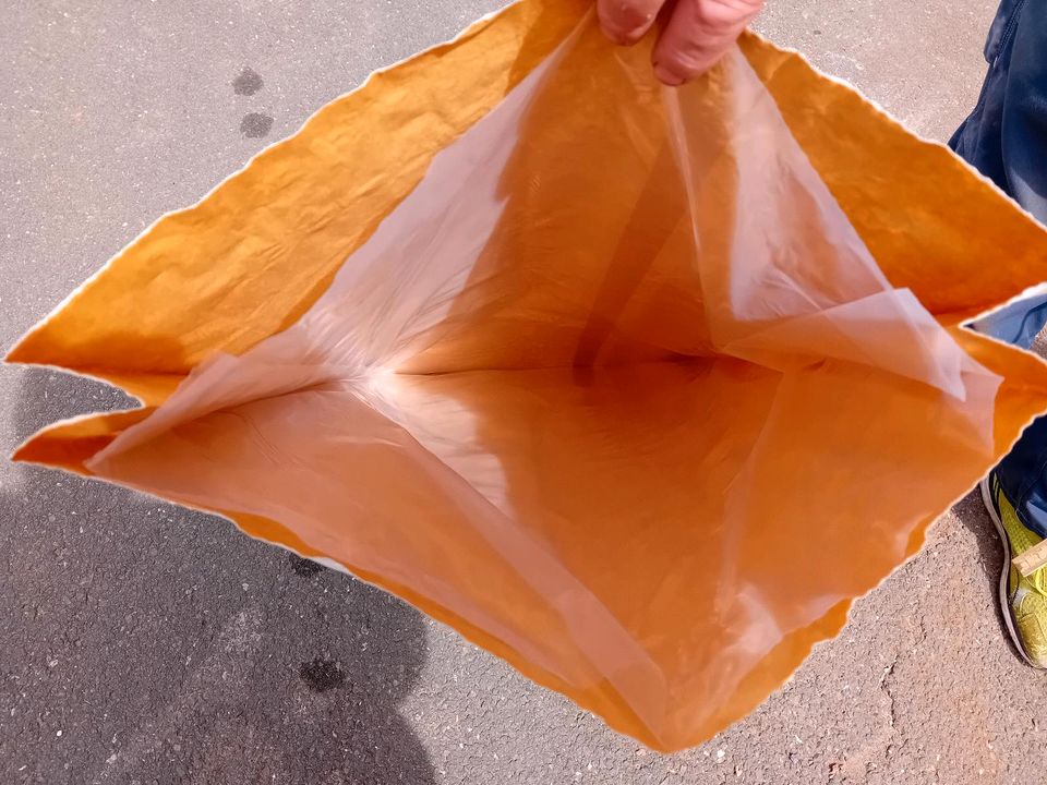 20 St große Papier Säcke mit Plastikeinsatz 103-44cm (500St da) in Schneckenlohe