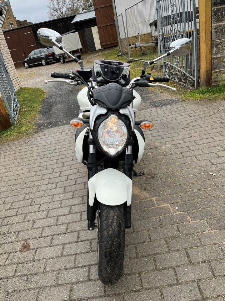 Suzuki SFV 650 Gladius 1 Jahr Gewährleistung in Birkenwerder