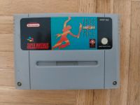 Prince of Persia 2 (Nintendo Gameboy - GB) Rheinland-Pfalz - Trier Vorschau