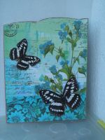 Schmetterlingsbild 1, neu! Dresden - Leuben Vorschau