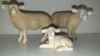 Schleich, Schafe, Familie, Mutter, Vater, Kind Saarbrücken-West - Gersweiler Vorschau