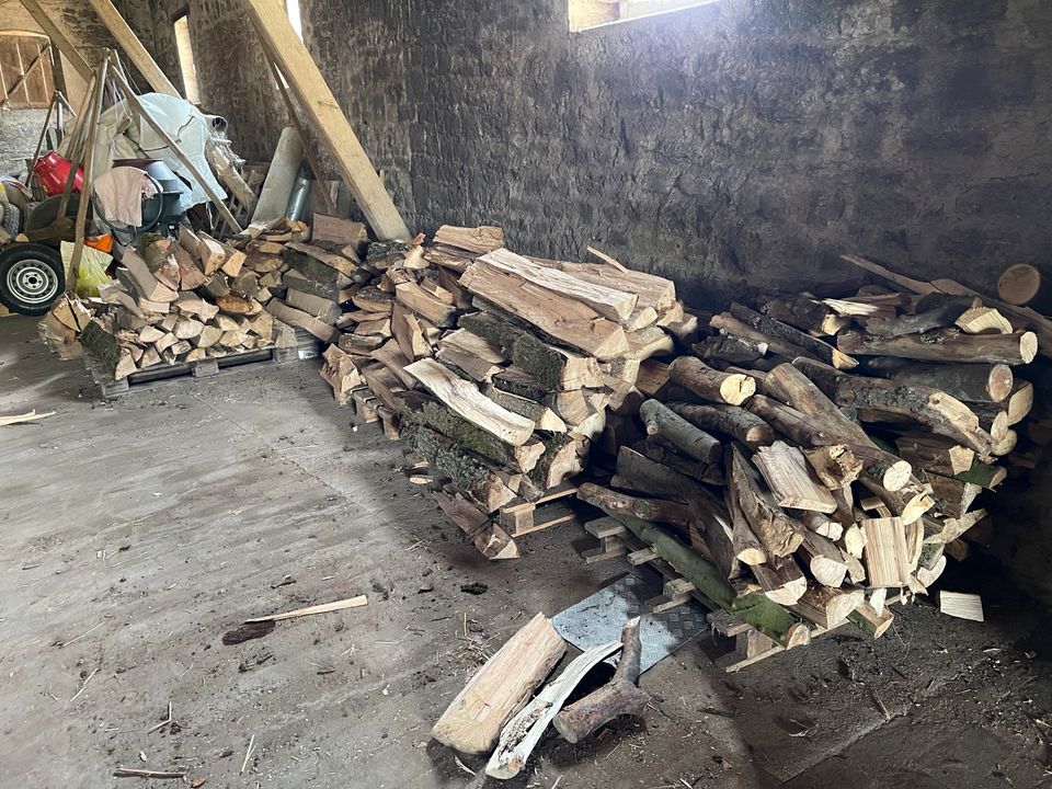 Brennholz zu Verkaufen in Randersacker