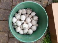 Pool Filter Balls Bonn - Beuel Vorschau