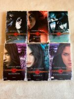 Buch: Vampire Academy Reihe Band 1-6 Schleswig-Holstein - Wahlstedt Vorschau