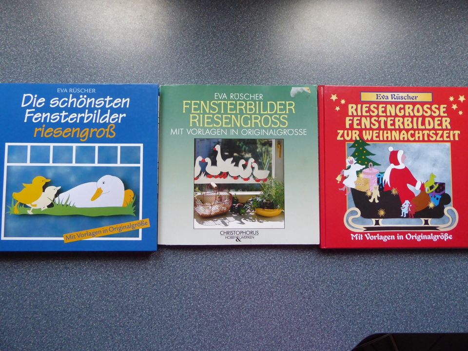 3 Bücher Fensterbilder von Eva Rüscher in Vellmar