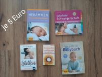 Buch schwangerschaft Baden-Württemberg - Kehl Vorschau