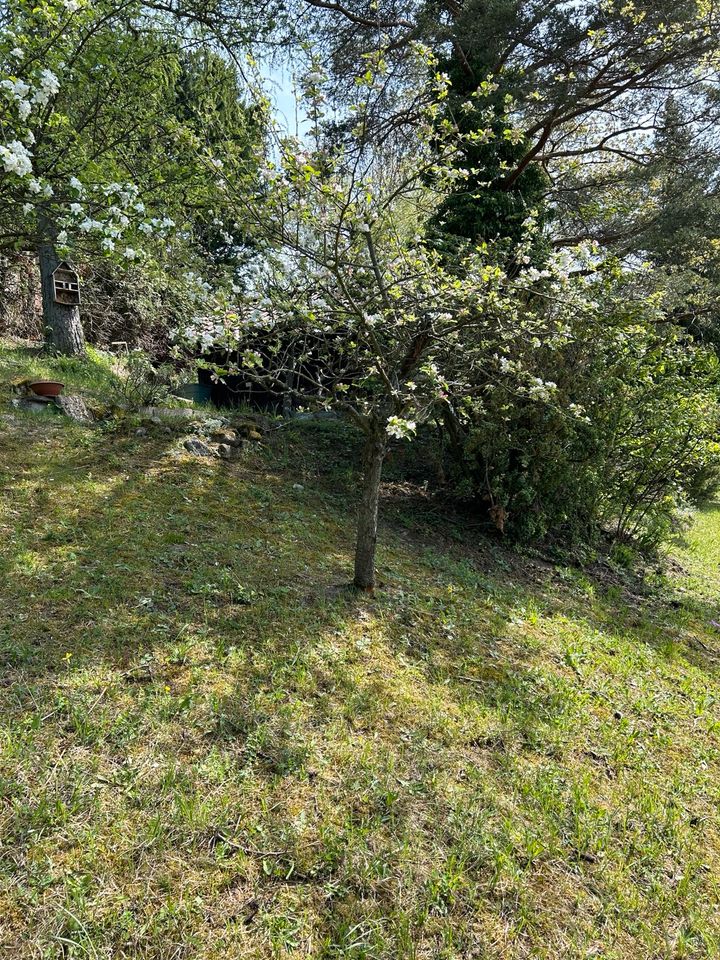 Gartengrundstück mit traumhaften Blick über Stuttgarts Weinberge in Ehningen