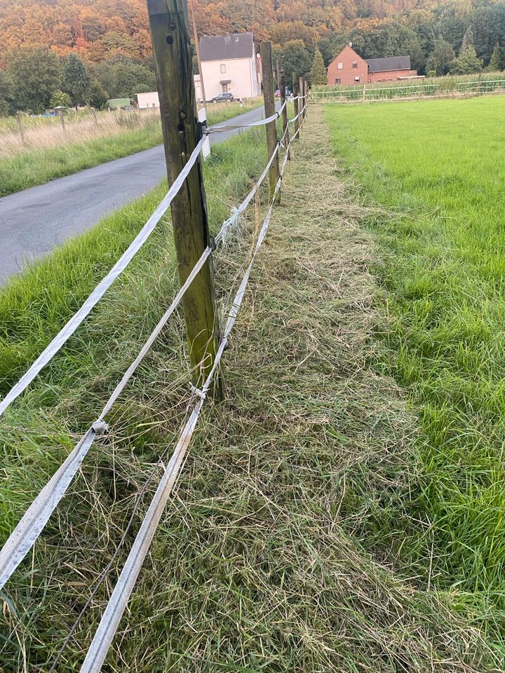 Mähen Freischneider in Wesel