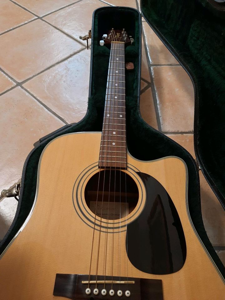 Takamine eg530 Westerngitarre inkl. Koffer in Lippstadt