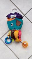 Tomy Lamaze Captain Calamari, die Piratenkrake Baby Greifling Rheinland-Pfalz - Heidweiler bei Wittlich Vorschau