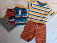 Fatface Shorts rost Shirt gestreift Tiger rot blau gelb Gr. 134 Nordrhein-Westfalen - Waltrop Vorschau