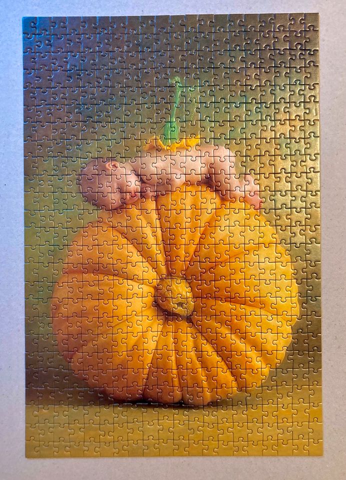 Puzzle "ANNE GEDDES - KÜRBISBLÜTE" 500 Teile in Roßtal