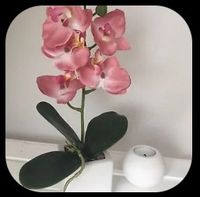 Kunstblume Orchidee rosa Keramiktopf Hochglanz 35 cm hoch Baden-Württemberg - Mannheim Vorschau