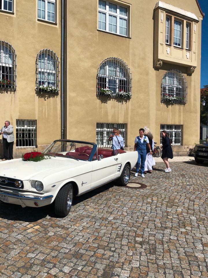 Ford Mustang Cabrio V8 Cabrio White mieten - Hochzeit, JGA in Pirna