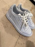 Titel: Puma Ralph Sampson Sneaker – Weiß – Größe 36 Neuwertig‼️ Bayern - Reichertshausen Vorschau