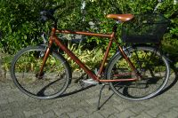 Diamant Indigo Fahrrad Bayern - Emmering Vorschau