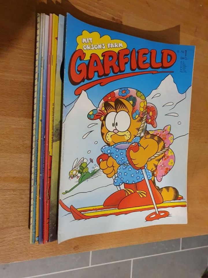 Garfield Na Endlich Mit Orson Farm 20 Hefte guter Zustand in Wegberg