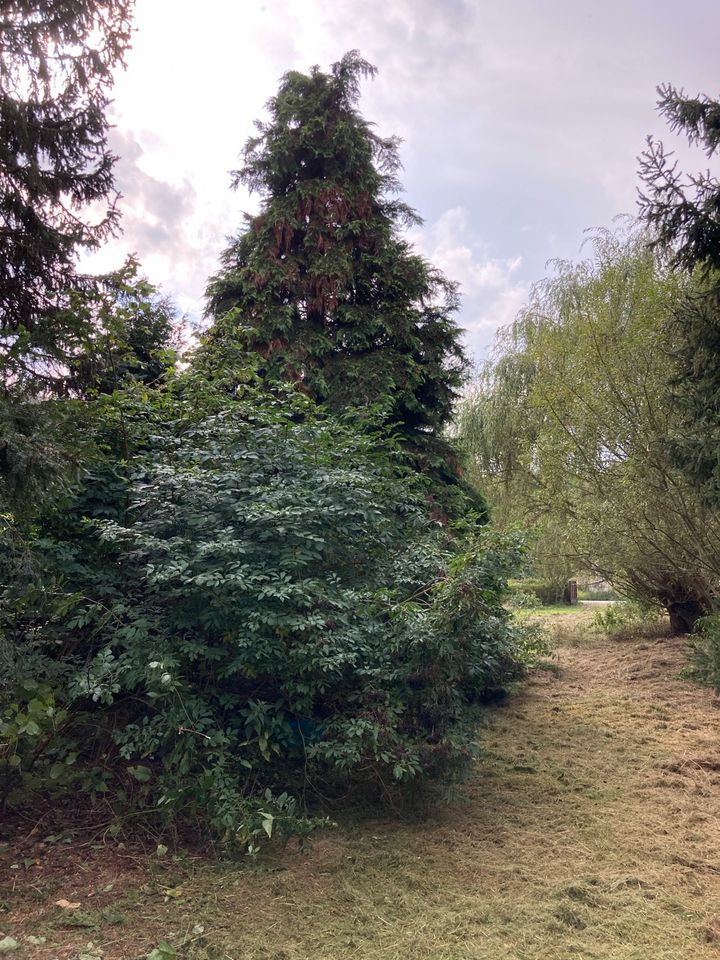 3116 qm Gartengrundstück in Stadtlage Wochenendhaus Ferienhaus in