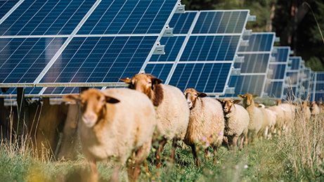 Solarpark-Flächen gesucht. Ab 4.000 Euro / Hektar p.a. in Stuttgart