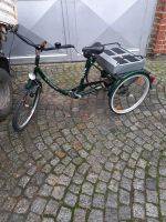 Erwachsenen Dreiradfahrrad Thüringen - Wachstedt Vorschau