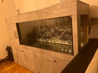 400L Aquarium Nordrhein-Westfalen - Porta Westfalica Vorschau