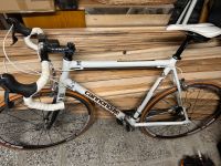 Cannondale Rennrad Herrenrennrad Fahrrad Pankow - Prenzlauer Berg Vorschau