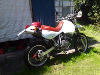 Honda XR 650 L Nordrhein-Westfalen - Recklinghausen Vorschau