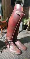 Reitstiefel braun Healthy Horses Rheinland-Pfalz - Pickließem Vorschau