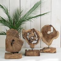 Naturgewachsene Holz Skulptur | Treibholz, Kunstobjekt, Teakholz, Hessen - Gießen Vorschau