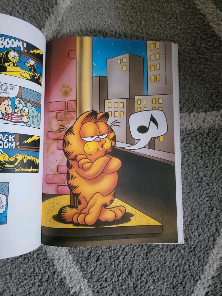 Die Garfield Revue 3 in Versmold